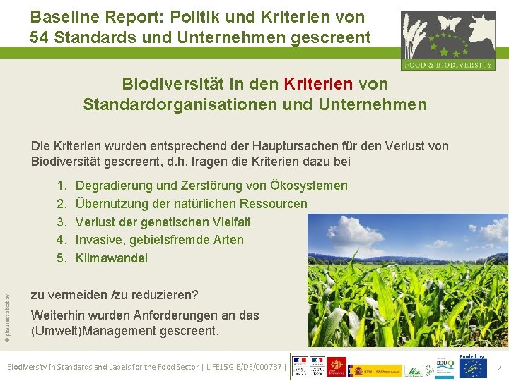 Baseline Report: Politik und Kriterien von 54 Standards und Unternehmen gescreent Biodiversität in den