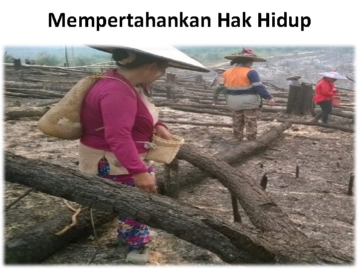 Mempertahankan Hak Hidup 