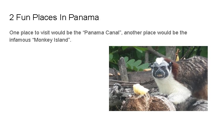 2 Fun Places In Panama One place to visit would be the “Panama Canal”,