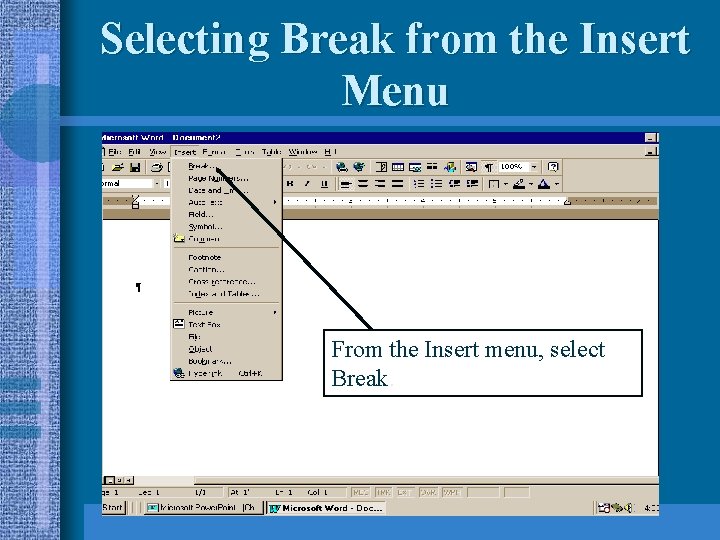 Selecting Break from the Insert Menu From the Insert menu, select Break. 