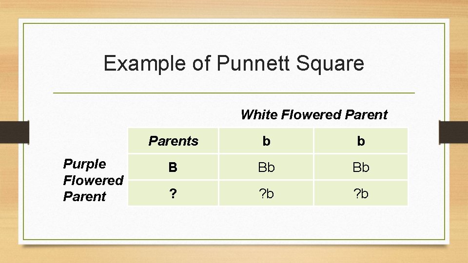 Example of Punnett Square White Flowered Parent Purple Flowered Parents b b B Bb