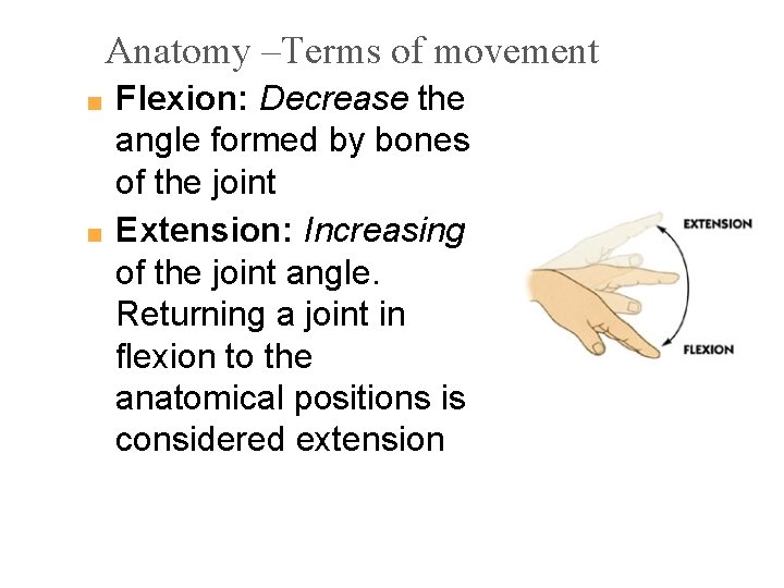 Anatomy –Terms of movement Flexion: Decrease the angle formed by bones of the joint