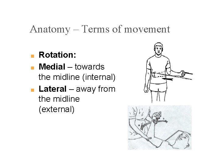 Anatomy – Terms of movement ■ ■ ■ Rotation: Medial – towards the midline