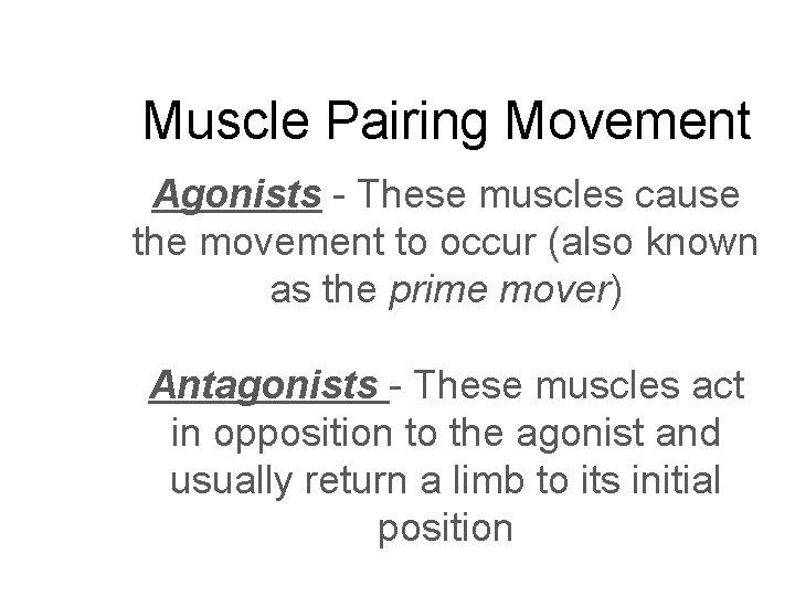 Muscle Pairing Movement Agonists - These muscles cause the movement to occur (also known