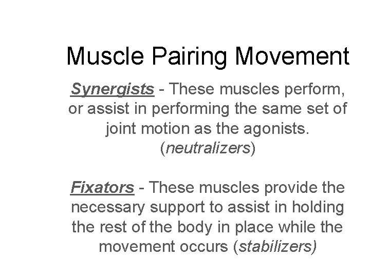 Muscle Pairing Movement Synergists - These muscles perform, or assist in performing the same