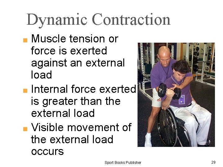 Dynamic Contraction Muscle tension or force is exerted against an external load ■ Internal