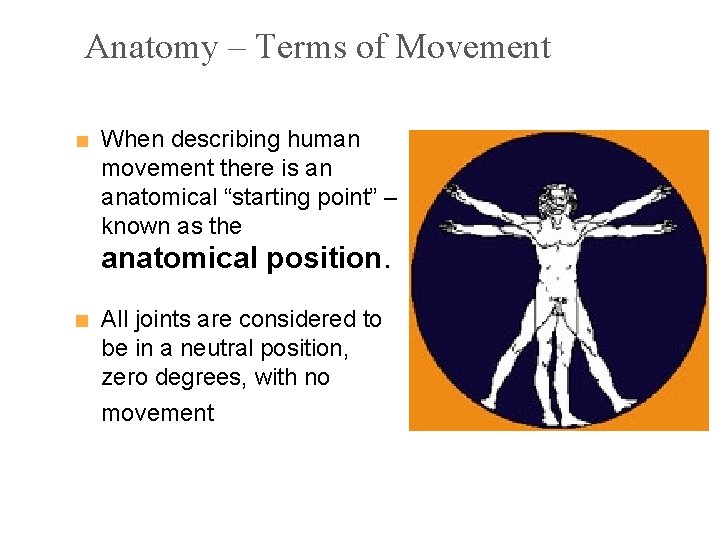 Anatomy – Terms of Movement ■ When describing human movement there is an anatomical