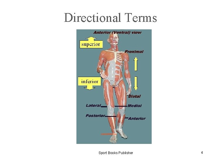 Directional Terms Sport Books Publisher 4 