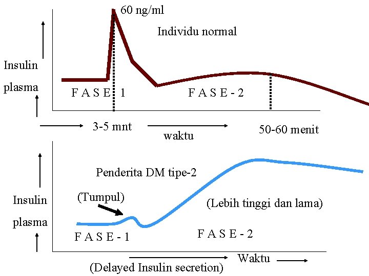 60 ng/ml Individu normal Insulin plasma FASE 1 3 -5 mnt FASE-2 50 -60