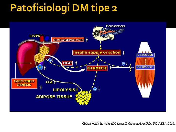 Patofisiologi DM tipe 2 • Bahan kuliah dr. Makbul M Aman. Diabetes melitus. Palu: