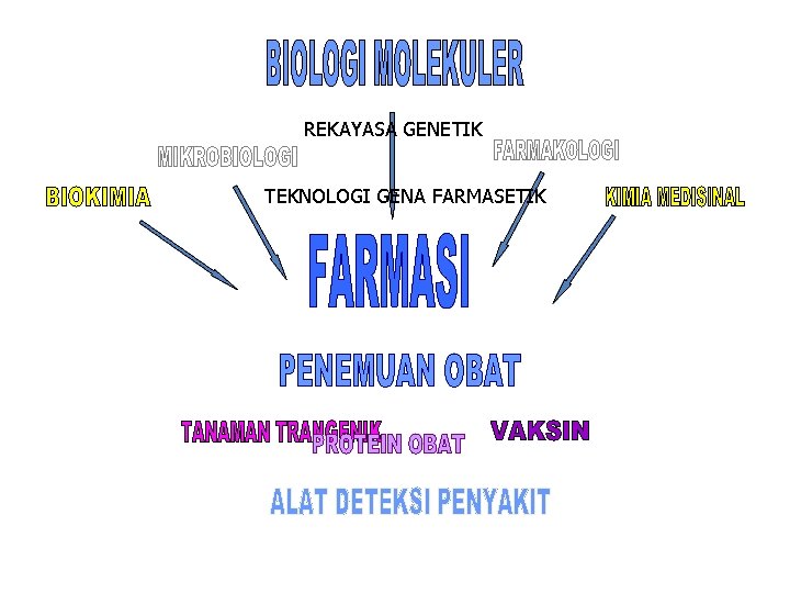 REKAYASA GENETIK TEKNOLOGI GENA FARMASETIK 