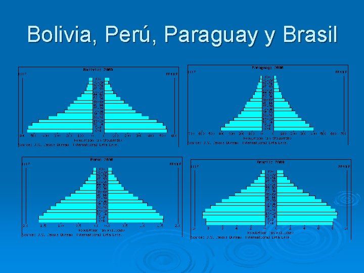Bolivia, Perú, Paraguay y Brasil 