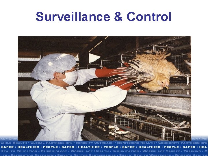 Surveillance & Control 