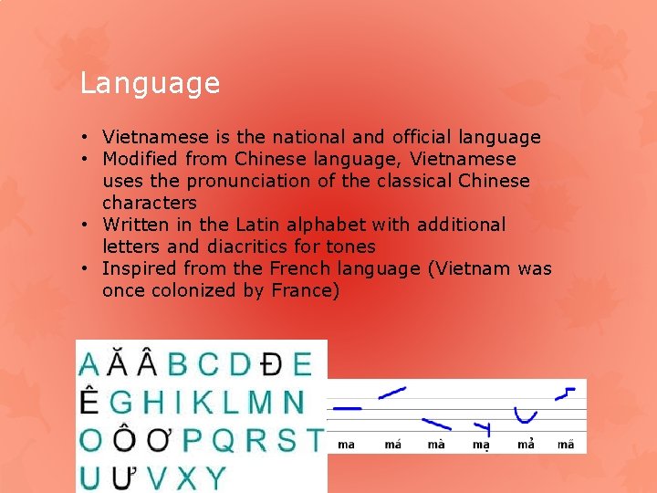 Language • Vietnamese is the national and official language • Modified from Chinese language,