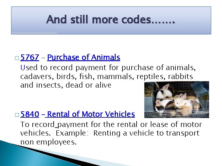 And still more codes……. � 5767 – Purchase of Animals Used to record payment