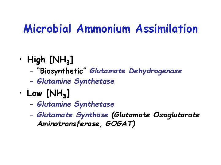 Microbial Ammonium Assimilation • High [NH 3] – “Biosynthetic” Glutamate Dehydrogenase – Glutamine Synthetase