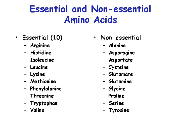 Essential and Non-essential Amino Acids • Essential (10) – – – – – Arginine