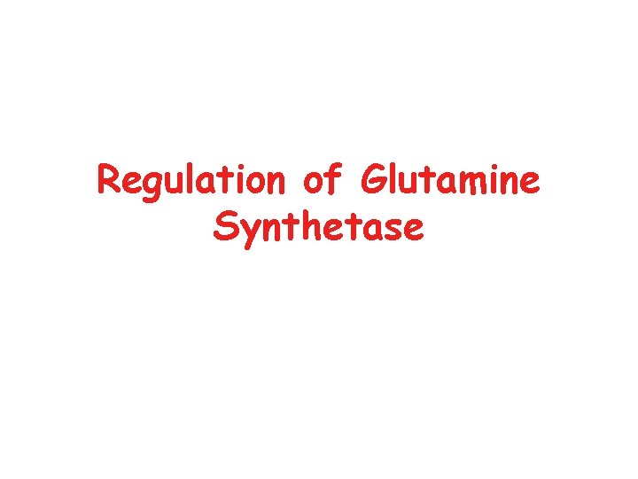 Regulation of Glutamine Synthetase 