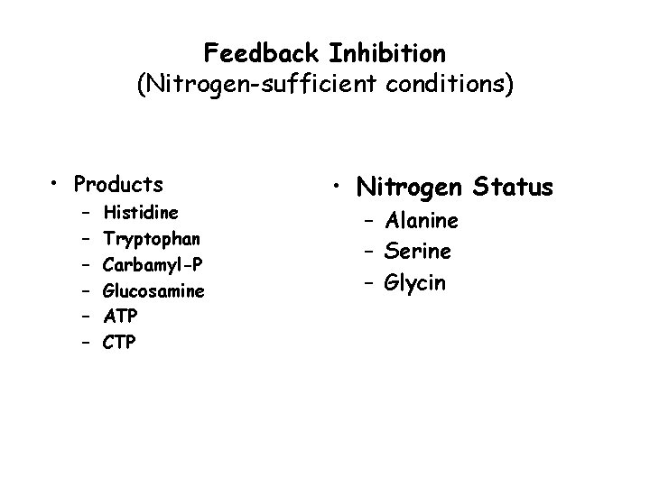 Feedback Inhibition (Nitrogen-sufficient conditions) • Products – – – Histidine Tryptophan Carbamyl-P Glucosamine ATP