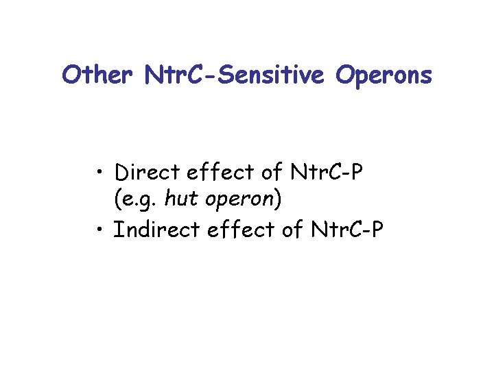 Other Ntr. C-Sensitive Operons • Direct effect of Ntr. C-P (e. g. hut operon)