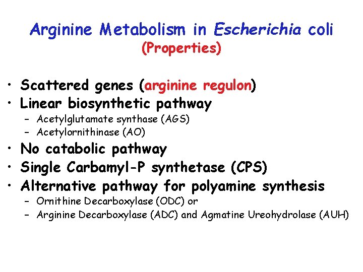 Arginine Metabolism in Escherichia coli (Properties) • Scattered genes (arginine regulon) • Linear biosynthetic