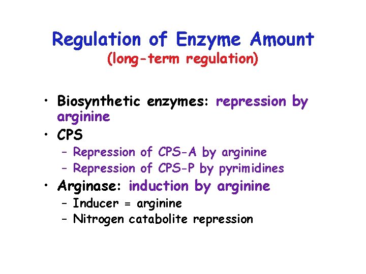 Regulation of Enzyme Amount (long-term regulation) • Biosynthetic enzymes: repression by arginine • CPS