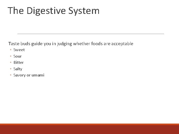 The Digestive System Taste buds guide you in judging whether foods are acceptable ◦