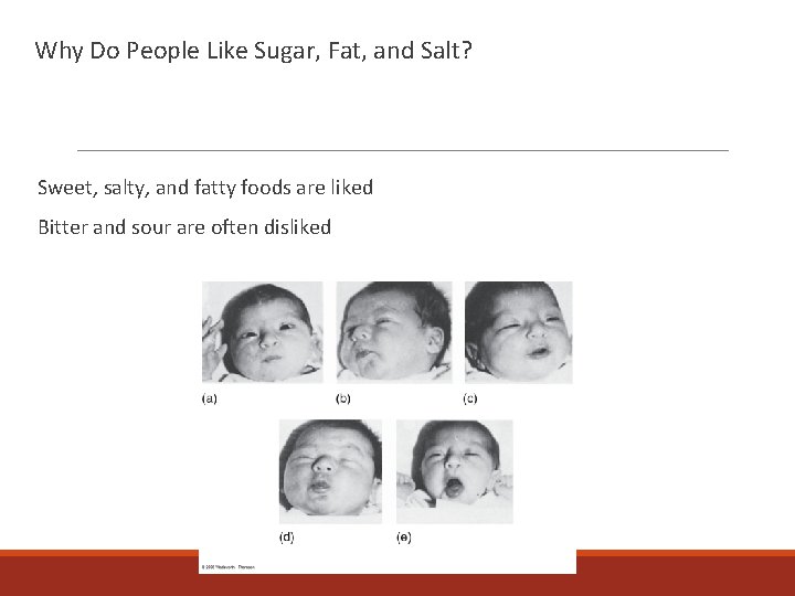 Why Do People Like Sugar, Fat, and Salt? Sweet, salty, and fatty foods are