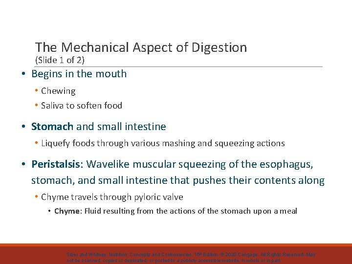 The Mechanical Aspect of Digestion (Slide 1 of 2) • Begins in the mouth