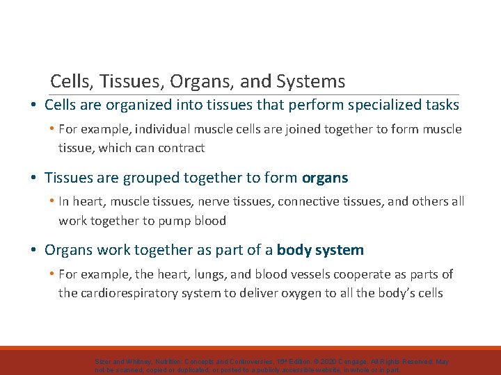 Cells, Tissues, Organs, and Systems • Cells are organized into tissues that perform specialized
