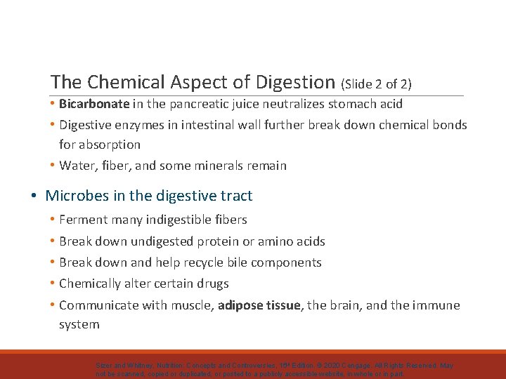 The Chemical Aspect of Digestion (Slide 2 of 2) • Bicarbonate in the pancreatic