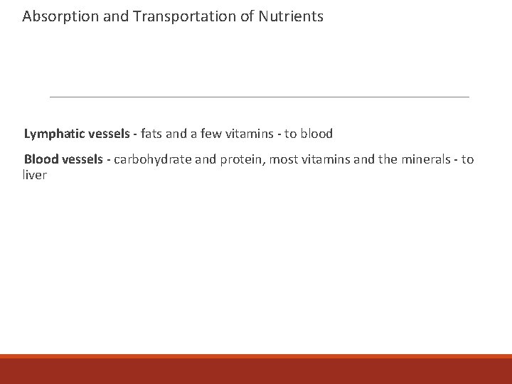 Absorption and Transportation of Nutrients Lymphatic vessels - fats and a few vitamins -