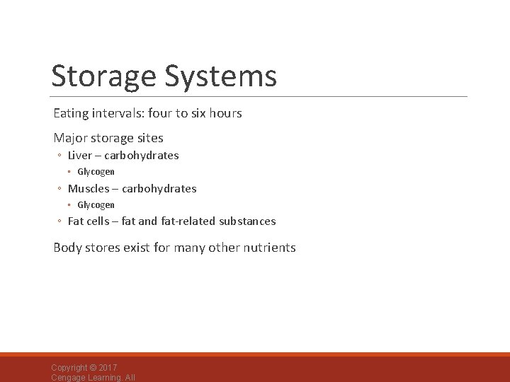 Storage Systems Eating intervals: four to six hours Major storage sites ◦ Liver –
