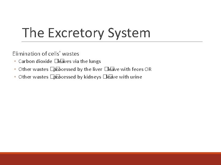 The Excretory System Elimination of cells’ wastes ◦ Carbon dioxide �� leaves via the