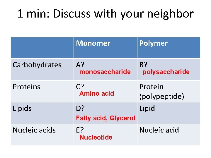 1 min: Discuss with your neighbor Monomer Polymer Carbohydrates A? B? Proteins C? Lipids 1 min: Discuss with your neighbor Monomer Polymer Carbohydrates A? B? Proteins C? Lipids