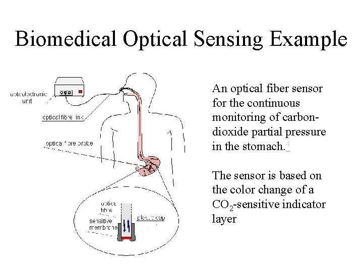 Biomedical Optical Sensing Example An optical fiber sensor for the continuous monitoring of carbondioxide