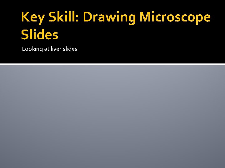 Key Skill: Drawing Microscope Slides Looking at liver slides 