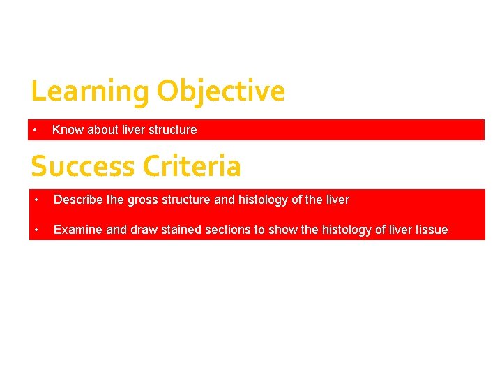 Learning Objective • Know about liver structure Success Criteria • Describe the gross structure