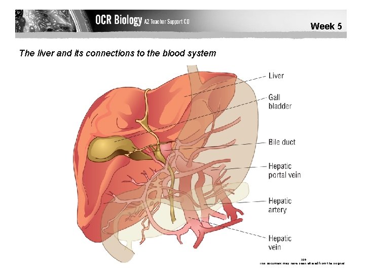 Week 5 The liver and its connections to the blood system © Pearson Education