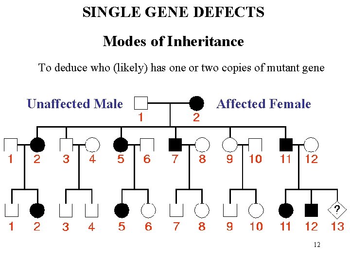 SINGLE GENE DEFECTS Modes of Inheritance To deduce who (likely) has one or two