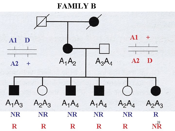 FAMILY B A 1 D A 1 + A 2 D NR R NR