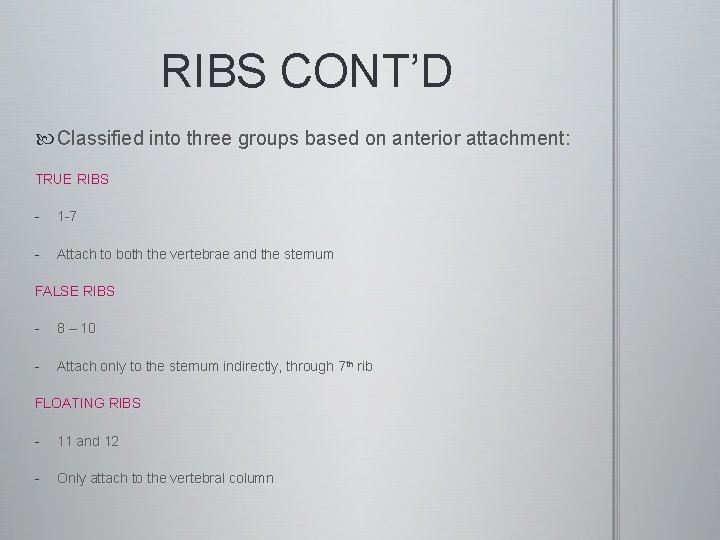 RIBS CONT’D Classified into three groups based on anterior attachment: TRUE RIBS - 1