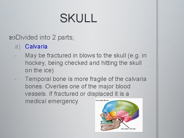 SKULL Divided into 2 parts; a) Calvaria - May be fractured in blows to