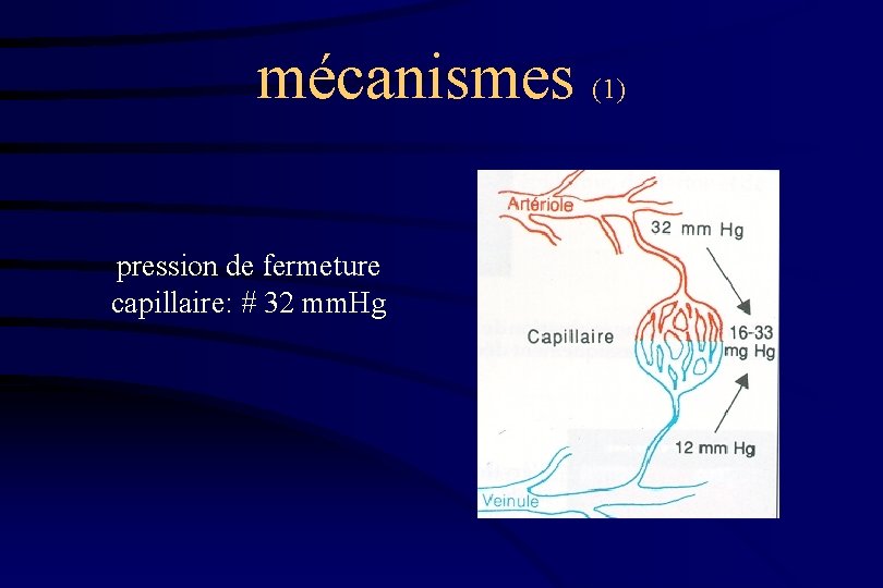 mécanismes (1) pression de fermeture capillaire: # 32 mm. Hg 