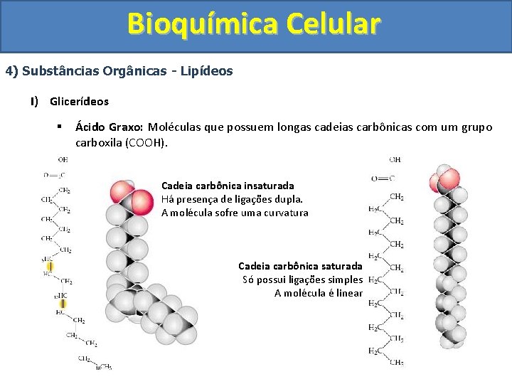 Bioquímica Celular 4) Substâncias Orgânicas - Lipídeos I) Glicerídeos § Ácido Graxo: Moléculas que