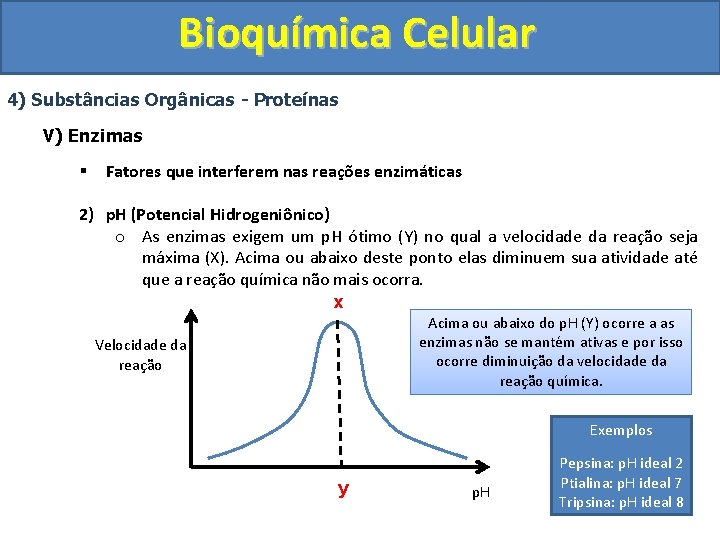 Bioquímica Celular 4) Substâncias Orgânicas - Proteínas V) Enzimas § Fatores que interferem nas