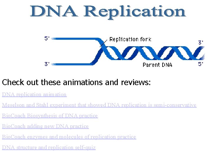 Check out these animations and reviews: DNA replication animation Meselson and Stahl experiment that