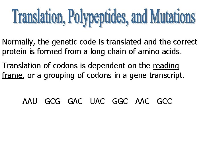 Normally, the genetic code is translated and the correct protein is formed from a