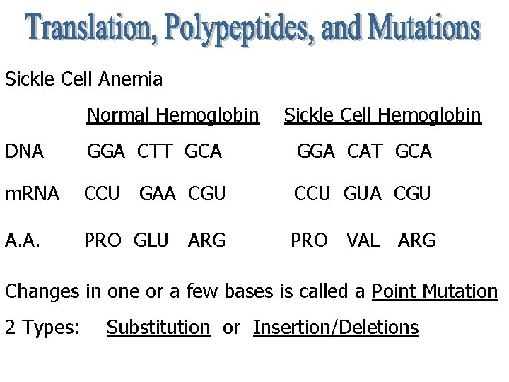 Sickle Cell Anemia Normal Hemoglobin Sickle Cell Hemoglobin DNA GGA CTT GCA GGA CAT