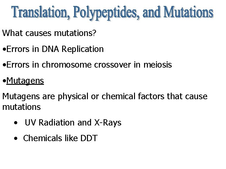 What causes mutations? • Errors in DNA Replication • Errors in chromosome crossover in